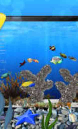 Happy Aquarium pour poissons 4