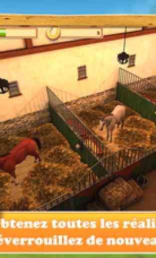 HorseWorld 3D: Mon amour de cheval 4