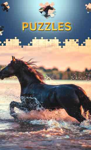 Jeux de puzzle de chevaux gratuit 4