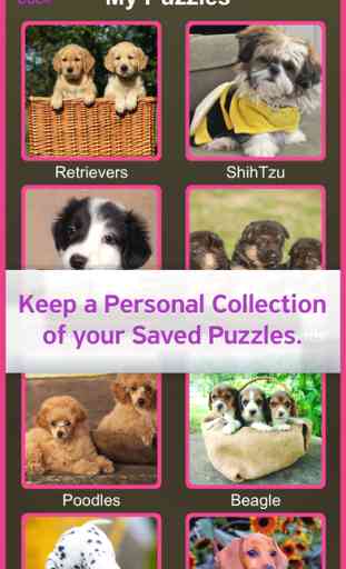 Jigsaw Collection of Animal, Puppy, Dog, and Planet Style Themes for Kids & Adults 3