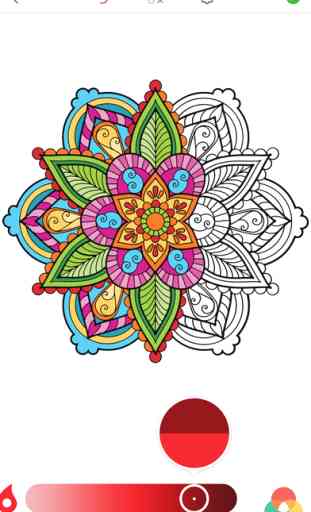 Coloriage Mandala - Livre de Coloriage pour Adulte 3