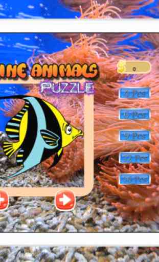 Jeux Logique Gratuit Poissons Puzzle Jeu poisson 3