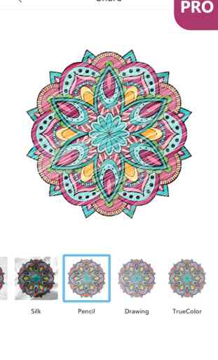 Livre Coloriage Mandala PRO: Coloriage pour Adulte 2