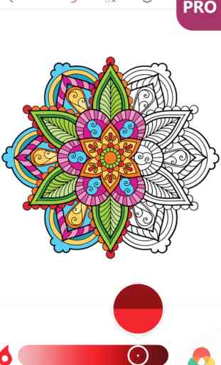 Livre Coloriage Mandala PRO: Coloriage pour Adulte 3