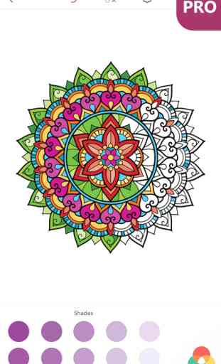 Livre Coloriage Mandala PRO: Coloriage pour Adulte 4