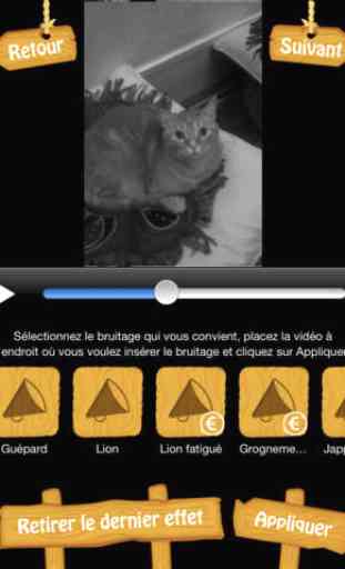 MyFélins - Montage vidéo et photo pour transformer votre chat en félin 3