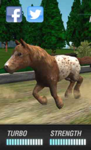 My Pony Horse Riding . Courses de Petit Poney 3