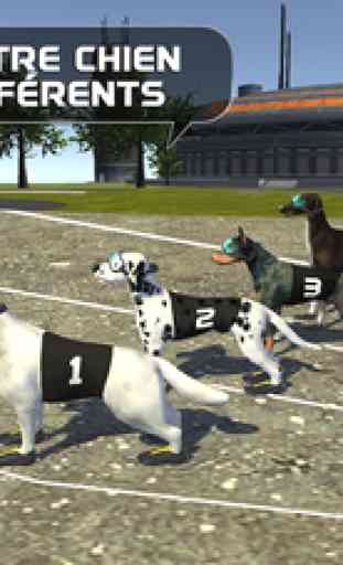 Crazy Dog Racing : Chase course Bunny avec chien 1
