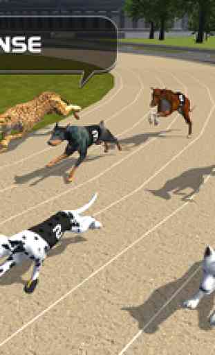Crazy Dog Racing : Chase course Bunny avec chien 3