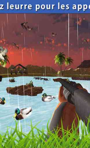 Pro Duck Hunting Season 3D 4