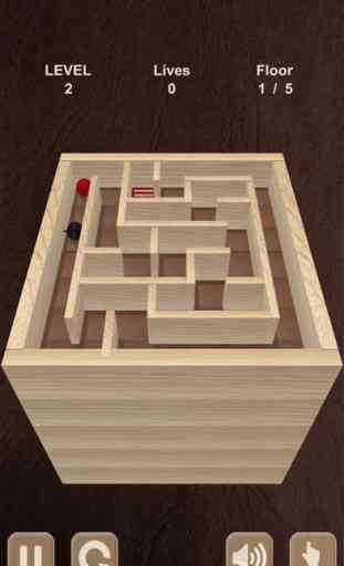 Rouler le ballon. boîte de labyrinthe / Roll the ball. Labyrinth box 1