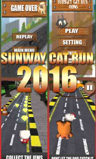 Subway Cat Run 2016 1