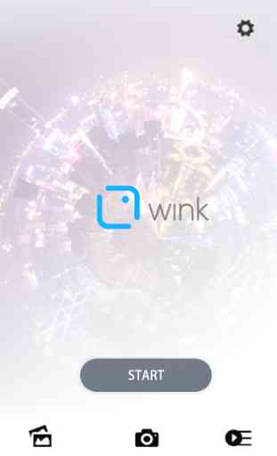 Wink 2