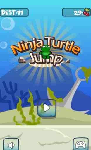 minuscules tortues ninja sauter autour de haut en bas sur le toit 1