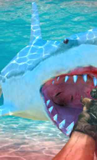 Sous l'eau, le requin chasseur - Extreme tir 2016 2