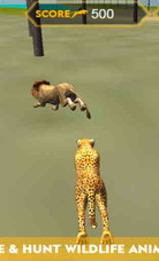 Simulateur faune guépard d'attaque 3D - chasser les animaux sauvages, les chasser dans cette aventure safari 3