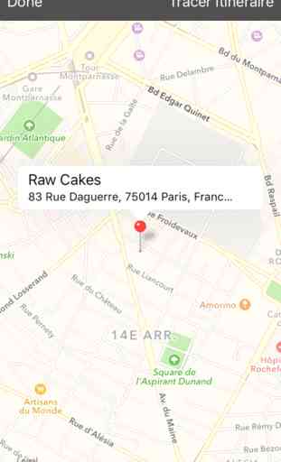 Raw Cakes 4