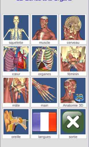 3D Bones and Organs (Anatomy) 1