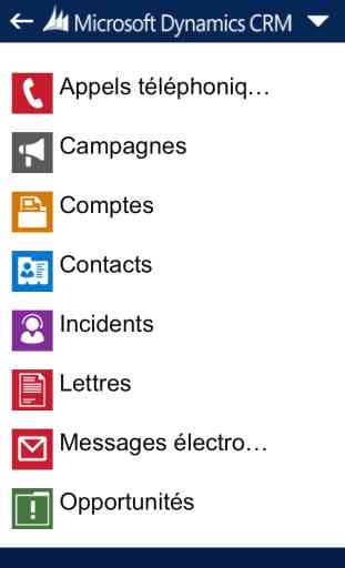 Dynamics CRM for phones express 2