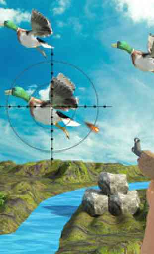 Oiseau chasse aigle & canard tir sniper 2