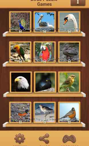 Oiseaux Jeux De Puzzle - Amusant Jeu De Cerveau 1