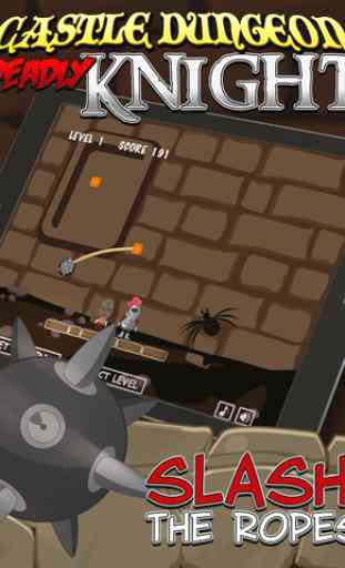 Castle Dungeon Deadly Knight Defenders: Danger In The Royal Kingdom Pro 3