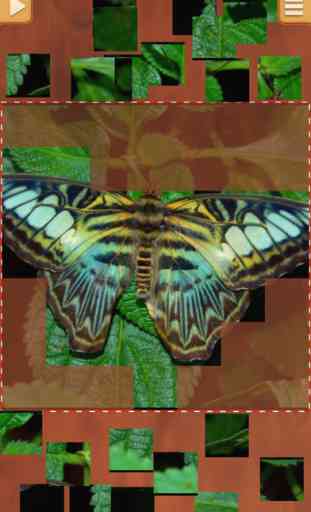 Papillon Jeu De Puzzle - Jeux De Logique 3