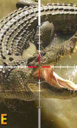 Alligator Hunting Adventure - Shoot Wild Animals 4