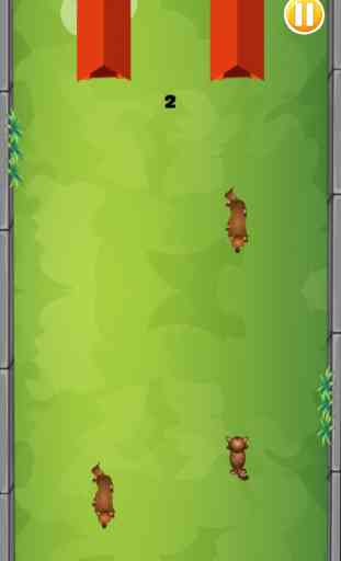 Dog Paws Vs Cat Claws Adventure Rescue 3