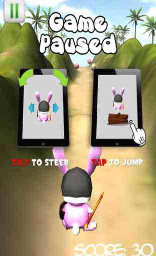 Easter Bunny Run - Egg Hunt 3D 3