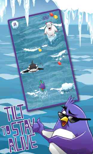 Extreme Penguin Surfing Adventure Crush 1