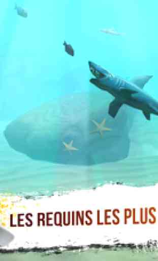Chasse De Requin - Sea Monster 3D 1