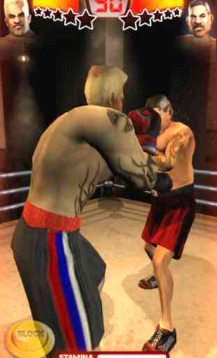 Iron Fist Boxing HD Edition 2