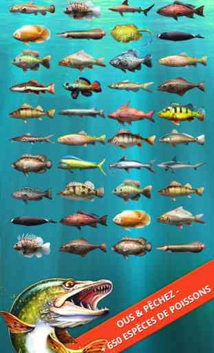 Let's Fish: Jeux de Pêche Gratuit. Fish Games 3