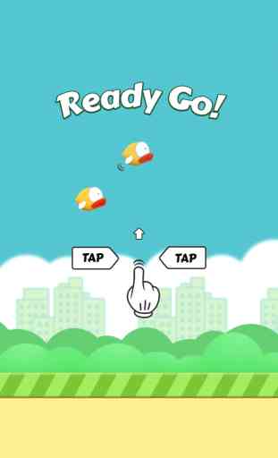 Little Bird-flappy together 3