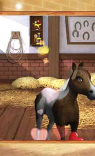 Petit bébé cheval 1
