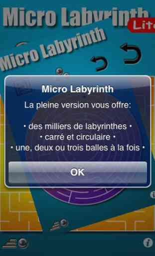 Micro Labyrinth Lite 2