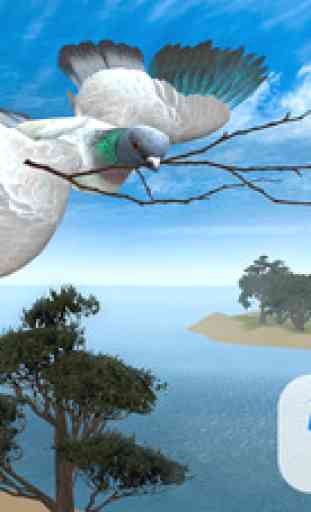 Pigeon Oiseau Survival Simulator 3D 1