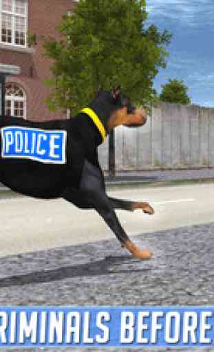 chien de police de poursuite pénale 1