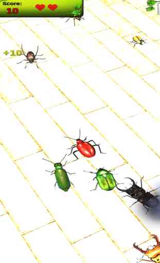 Réels insectes: Beetle Smasher 4