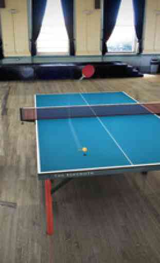 Table Tennis Touch 4