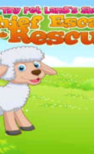 De l'agneau pour animaux minuscule moutons voleur évacuation et de secours : Tiny Pet Lamb’s Sheep Thief Escape and Rescue 1