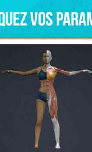 Anatomie Humaine - Muscles 3D 3