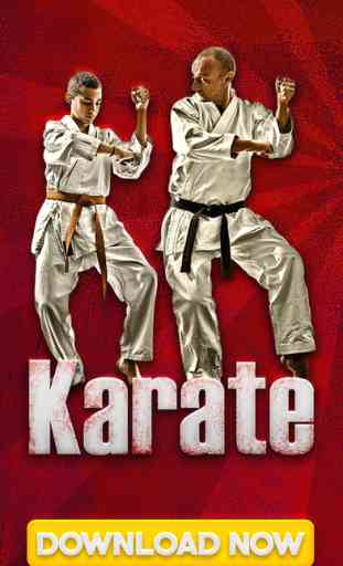 Karate Fighter FREE 1