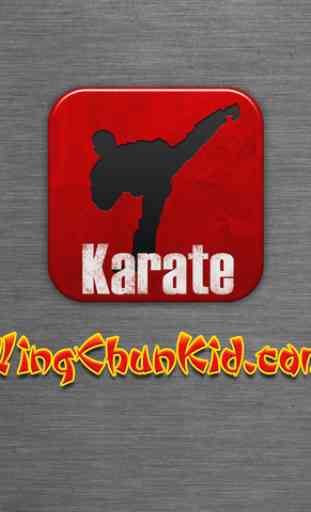 Karate Fighter FREE 2